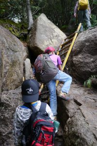 岩を登ったり、ハシゴを登ったり