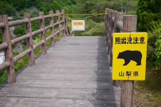 広瀬ダムの周囲の道は熊出没注意