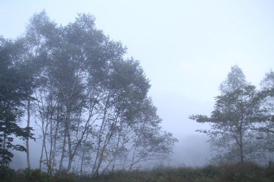 嬬恋の霧