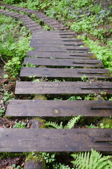 尾瀬のピアノのような木道階段
