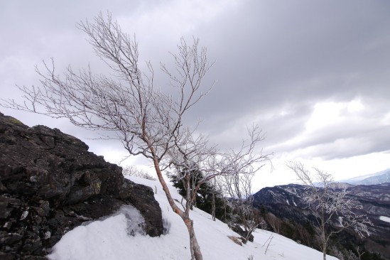 大菩薩嶺 雪山登山 (3)