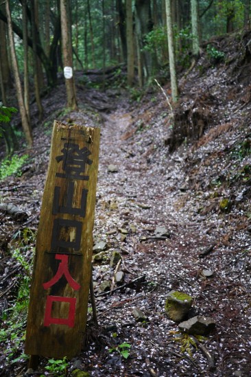 蛭ヶ岳 登山 (5)