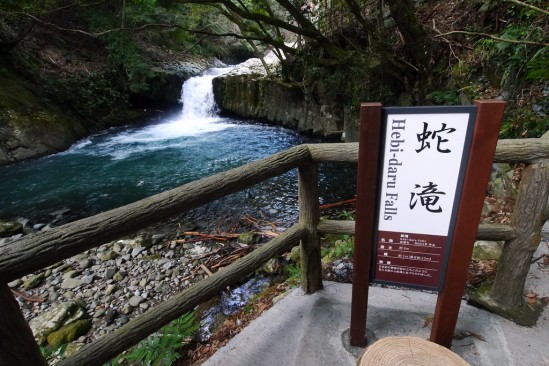 河津七滝・河津桜 (39)