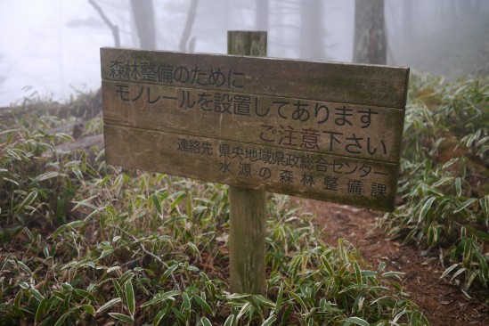 蛭ヶ岳 登山 (69)