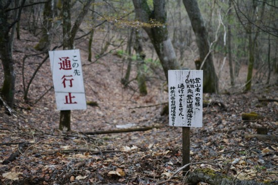 蛭ヶ岳 登山 (120)