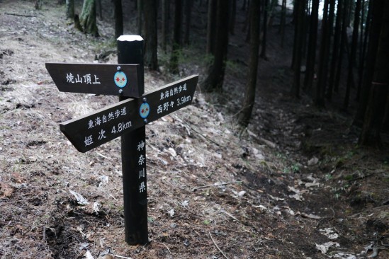 蛭ヶ岳 登山 (121)