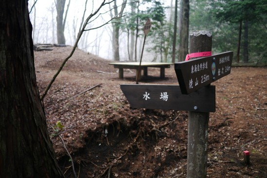 蛭ヶ岳 登山 (57)