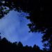 神奈川県秦野市の浄徳院菖蒲園のホタル | EF17-40mm F4L USM
